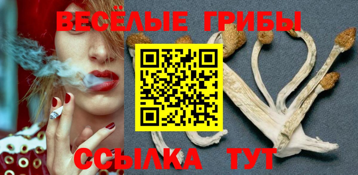 Кизляр  Псилоцибиновые грибы MAGIC MUSHROOMS  Вход с VPN 